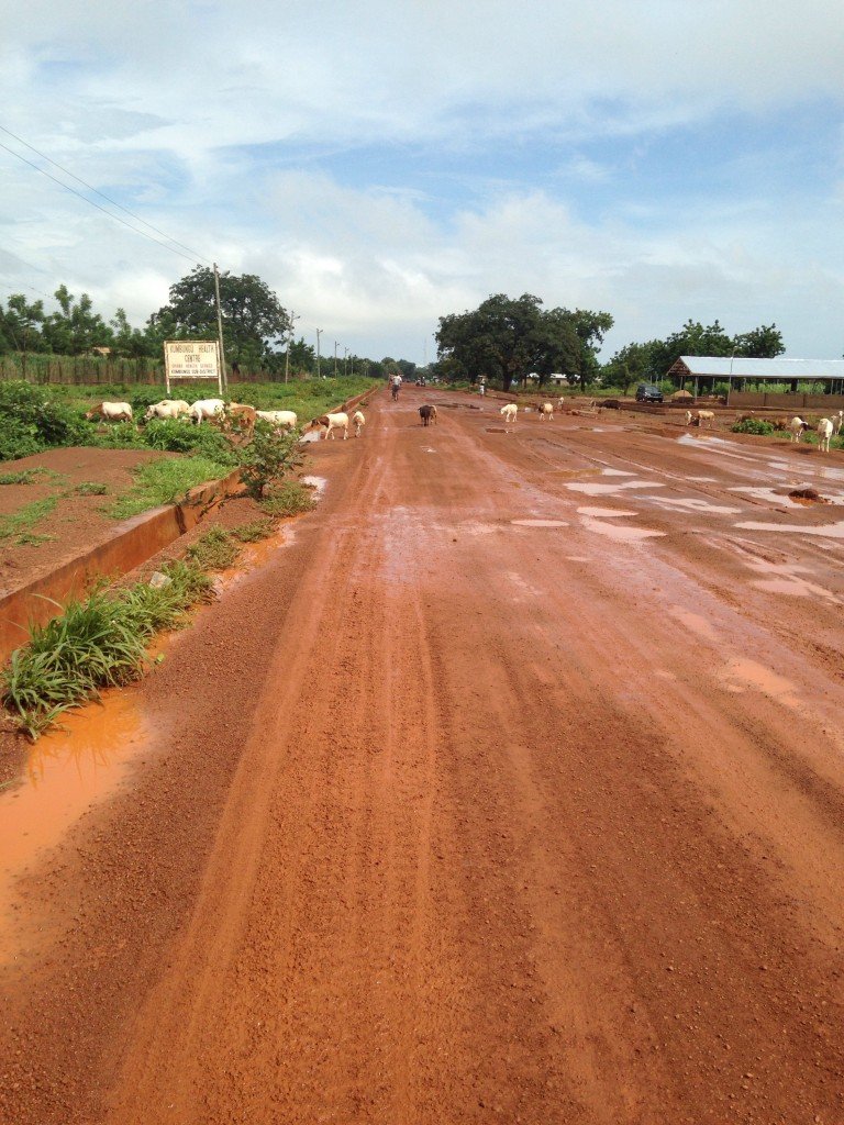 Ghanaian Farm - AgriCorps