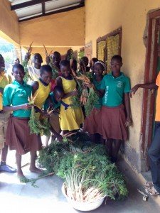 12247054_10153066026455633_6703503359199615300_n