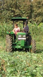 12313705_10153781074636170_8006044407691441454_n