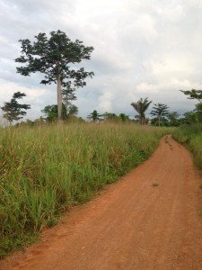 1374052_885888701466998_2780001603116717178_n