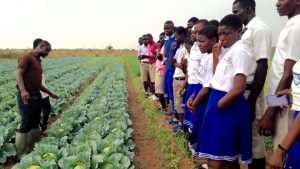 12798843_10153997946491170_4526698293503165259_n