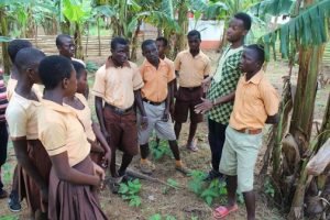 19400472_10154532093687595_101